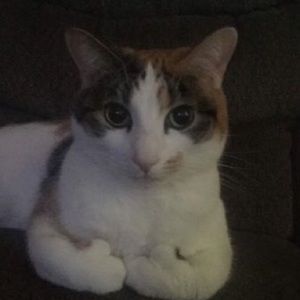 Meet your Posher, Wyatt